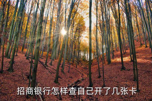 招商有多少個卡部,招商分期卡分多少期