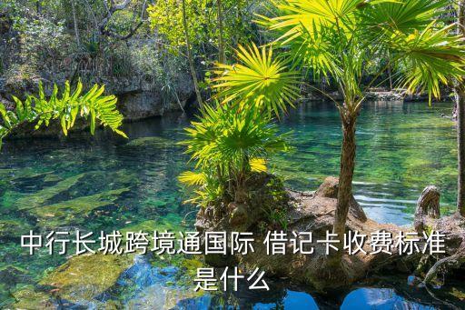 借記卡跨國(guó)取款手續(xù)費(fèi)多少,浦發(fā)銀行借記卡境外取款手續(xù)費(fèi)