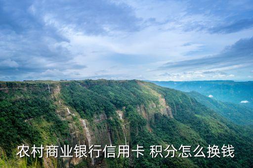 農(nóng)商行1元洗車多少積分