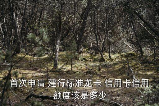 建行網(wǎng)申了信用卡額度是多少,建行信用卡柜臺(tái)成功率大,還是網(wǎng)申容易