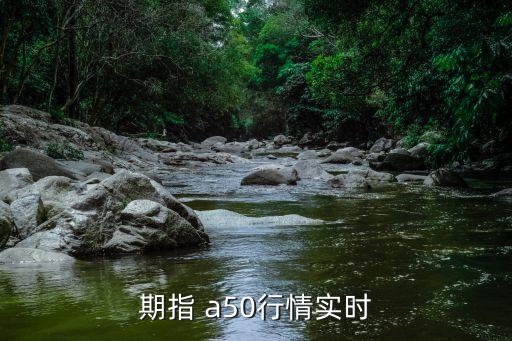 期指 a50行情實(shí)時(shí)