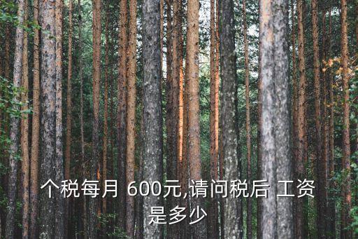 600稅 稅前工資多少錢(qián),稅前工資扣多少稅