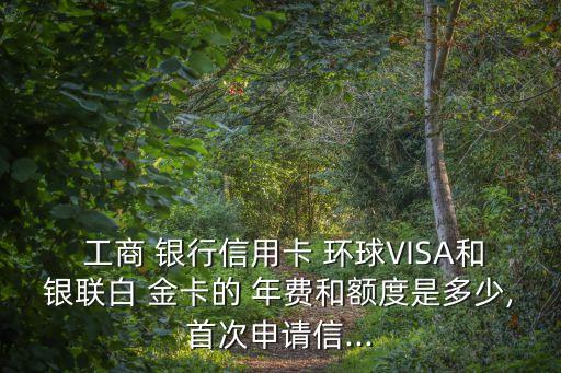  工商 銀行信用卡 環(huán)球VISA和銀聯(lián)白 金卡的 年費(fèi)和額度是多少,首次申請(qǐng)信...