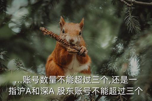 深a股東賬戶多少位,滬A深A(yù)股東賬戶允許有幾個(gè)