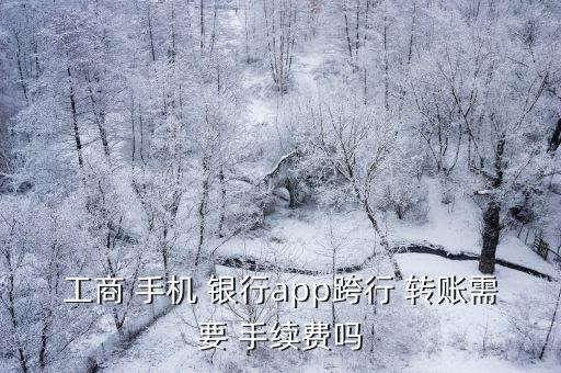 工商 手機 銀行app跨行 轉(zhuǎn)賬需要 手續(xù)費嗎
