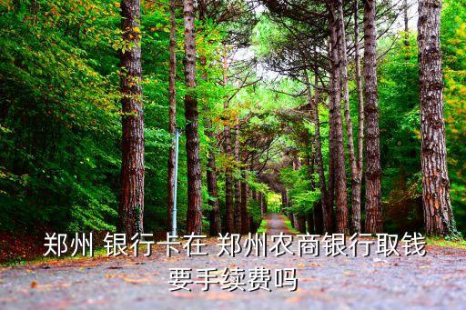  鄭州 銀行卡在 鄭州農(nóng)商銀行取錢要手續(xù)費嗎