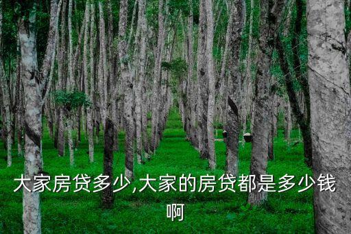 沈陽大家房貸多少,大家的房貸都是多少錢啊