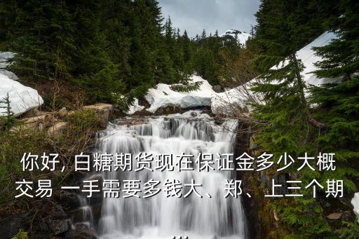你好, 白糖期貨現(xiàn)在保證金多少大概交易 一手需要多錢大、鄭、上三個期...