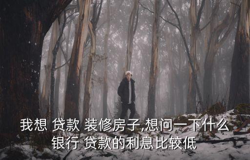 我想 貸款 裝修房子,想問一下什么銀行 貸款的利息比較低