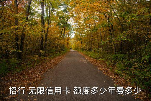 無限卡的額度是多少,無限的卡牌騎士