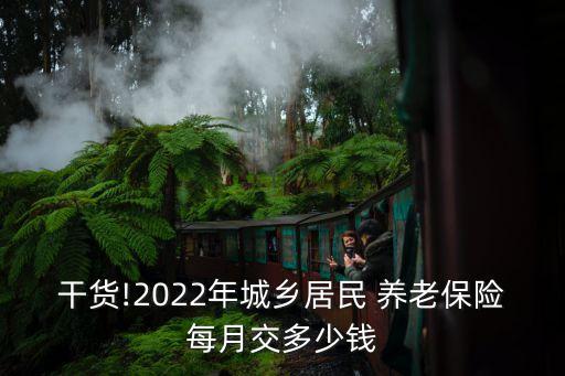 干貨!2022年城鄉(xiāng)居民 養(yǎng)老保險(xiǎn)每月交多少錢