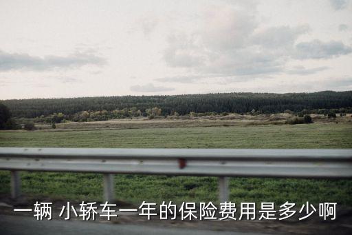 一輛 小轎車一年的保險費用是多少啊