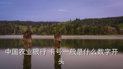 中國(guó)農(nóng)業(yè)銀行 卡號(hào)一般是什么數(shù)字開頭