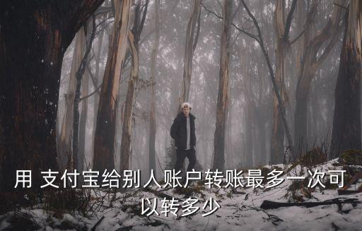 用 支付寶給別人賬戶轉(zhuǎn)賬最多一次可以轉(zhuǎn)多少