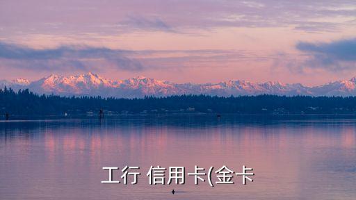 工行 信用卡(金卡