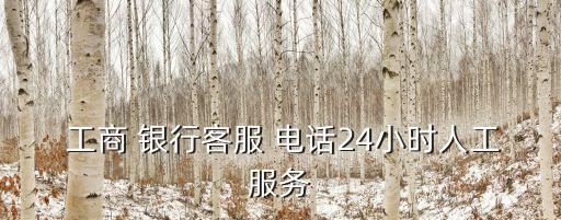  工商 銀行客服 電話24小時(shí)人工服務(wù)
