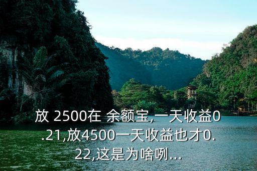 放 2500在 余額寶,一天收益0.21,放4500一天收益也才0.22,這是為啥咧...