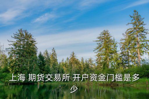 上海 期貨交易所 開戶資金門檻是多少