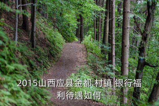 2015山西應(yīng)縣金都 村鎮(zhèn) 銀行福利待遇如何