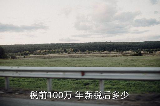年薪100萬留下多少錢,全國年薪100萬以上的人有多少