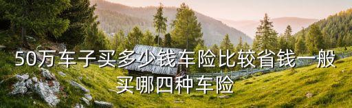 50萬的盜搶險要多少錢,30萬的車 盜搶險 大概多少