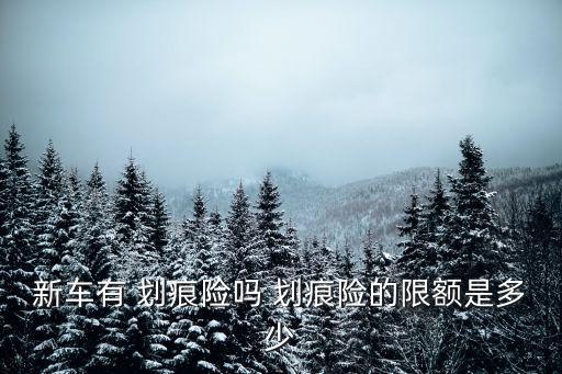 劃痕險最多賠多少錢,汽車劃痕險賠多少