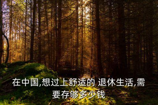 在中國(guó),想過上舒適的 退休生活,需要存夠多少錢
