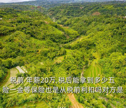稅前 年薪20萬,稅后能拿到多少五險(xiǎn)一金等保險(xiǎn)也是從稅前利扣嗎對方是...