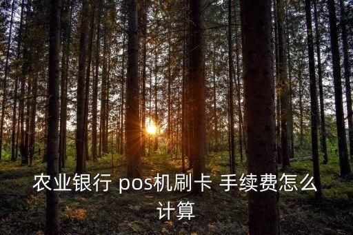 農(nóng)業(yè)銀行 pos機刷卡 手續(xù)費怎么計算