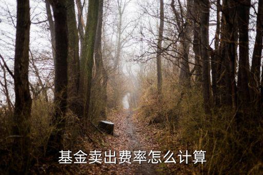  基金賣出費(fèi)率怎么計(jì)算