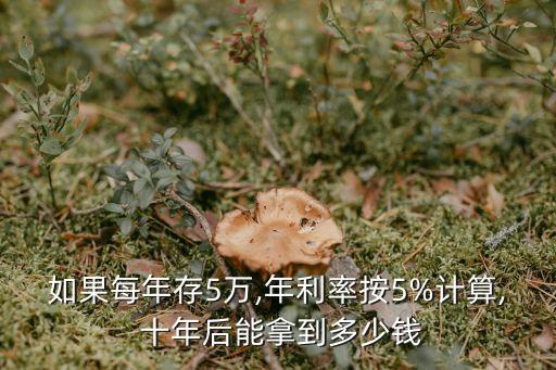五萬(wàn)存十年利息多少錢