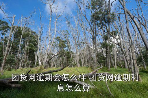團(tuán)貸網(wǎng)有多少用戶
