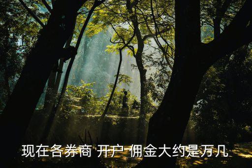 川財證券開戶傭金是多少,證券開戶傭金最低排名
