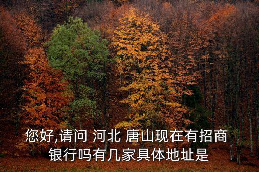 河北唐山有多少家銀行,唐山銀行一天能取多少錢