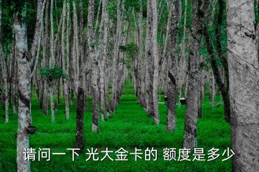 請(qǐng)問一下 光大金卡的 額度是多少