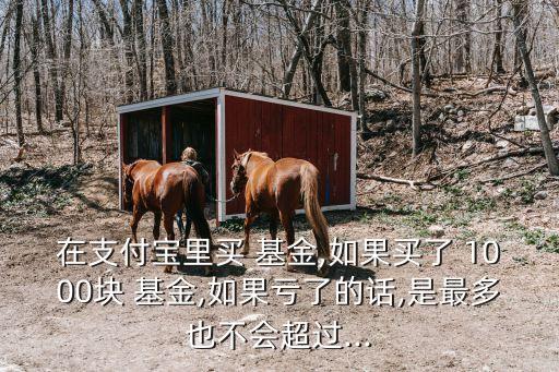 在支付寶里買 基金,如果買了 1000塊 基金,如果虧了的話,是最多也不會(huì)超過(guò)...