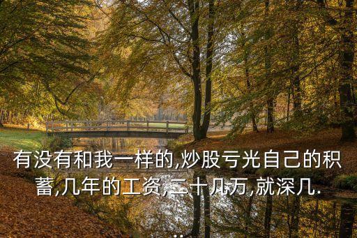 有沒有和我一樣的,炒股虧光自己的積蓄,幾年的工資,二十幾萬,就深幾...