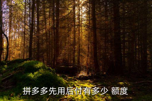先花錢最高額度多少錢,歡太花錢一般額度是多少