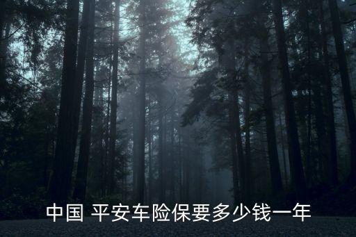 中國 平安車險(xiǎn)保要多少錢一年