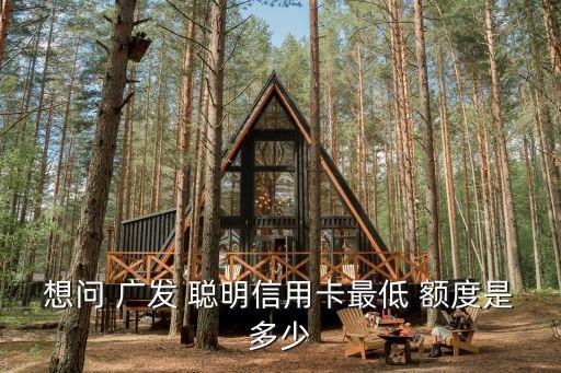 廣發(fā)新聰明卡白金卡額度有多少錢,廣發(fā)聰明卡是白金卡嗎