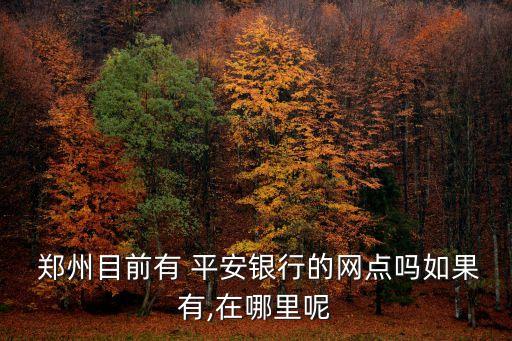 鄭州平安有多少分部,鄭州到平安多少公里