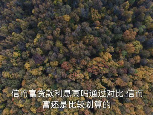 信而富指數30能借多少