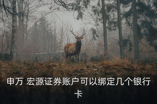 申萬 宏源證券賬戶可以綁定幾個銀行卡