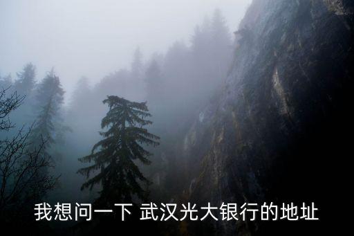 我想問(wèn)一下 武漢光大銀行的地址