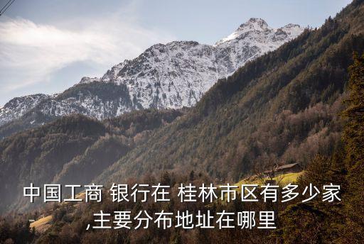 桂林市有多少銀行