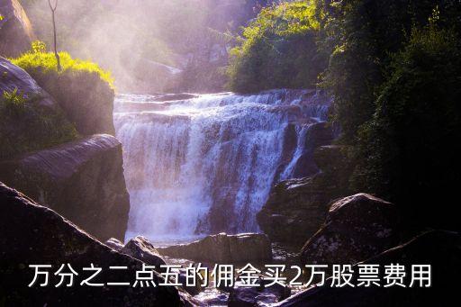 萬(wàn)2.5手續(xù)費(fèi)多少錢啊,轉(zhuǎn)賬100萬(wàn)手續(xù)費(fèi)多少錢