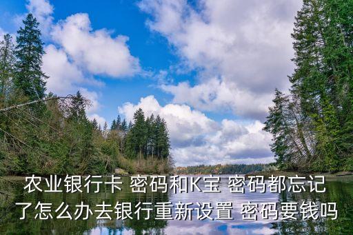 k寶密碼一般是多少錢,英語(yǔ)寶的密碼是多少