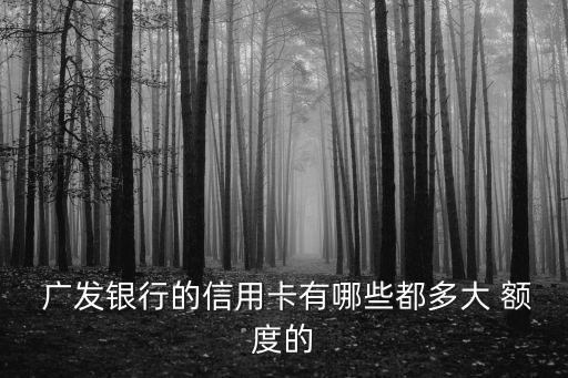 廣發(fā)攜程普卡額度多少錢,廣發(fā)普卡額度一般是多少