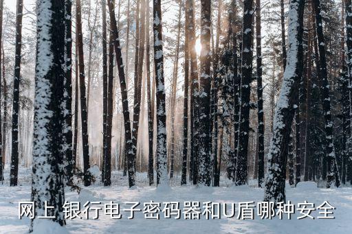網上 銀行電子密碼器和U盾哪種安全