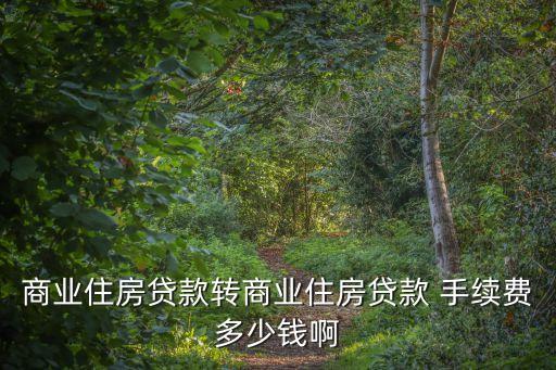 轉(zhuǎn)貸10萬(wàn)要多少手續(xù)費(fèi)